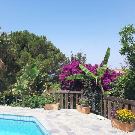Villa Suites Lagonisi Luxury Exterior photo